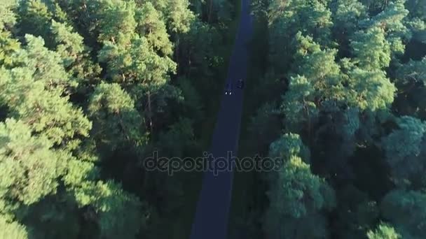 Vista aerea di auto sportive guida nella foresta — Video Stock