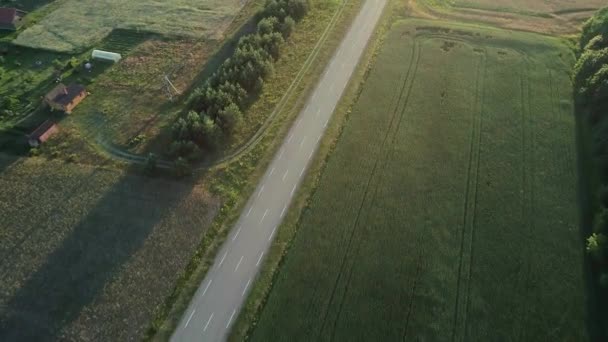 Luchtfoto van sport auto rijden in velden — Stockvideo