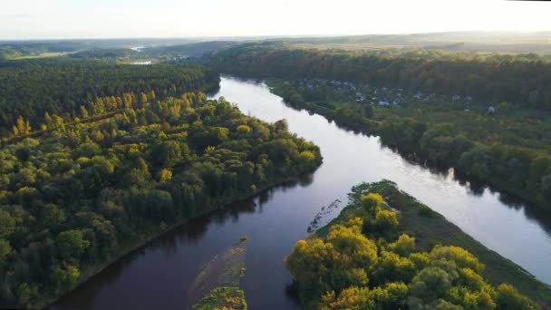 Vuelo sobre el río y el bosque — Vídeo de stock