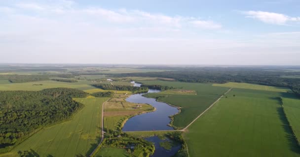 Río por la mañana Vista de los pájaros — Vídeo de stock