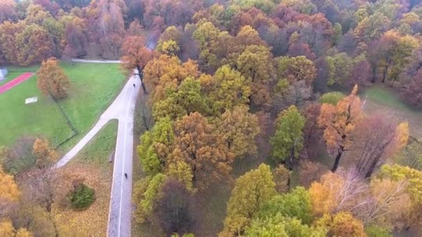 Volo sopra il parco autunnale — Video Stock