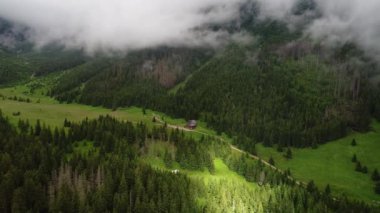 Orman dağlarında üzerinde uçuş