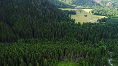 Orman dağlarında üzerinde uçuş