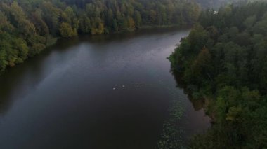 Sabahın erken saatlerinde sisli göl üzerinde uçan