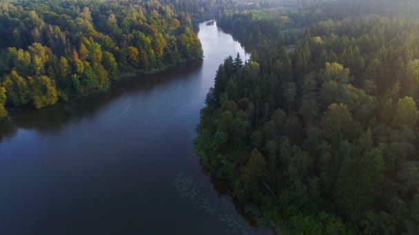 Літати над туманним озером рано вранці — стокове відео