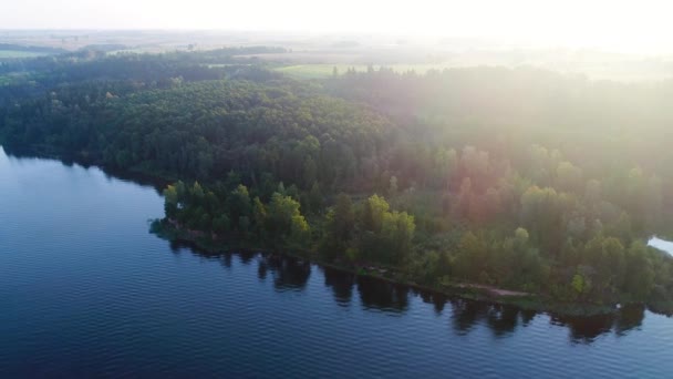 Voando acima do lago nebuloso no início da manhã — Vídeo de Stock