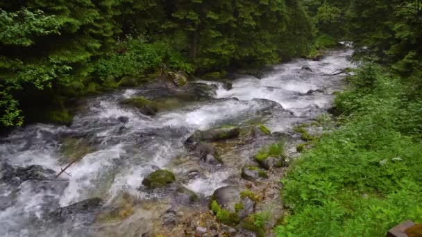 Schöne Wasserfälle in den Bergen — Stockvideo
