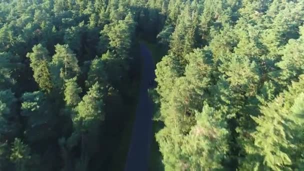 vue aérienne de la conduite de voitures de sport en forêt 