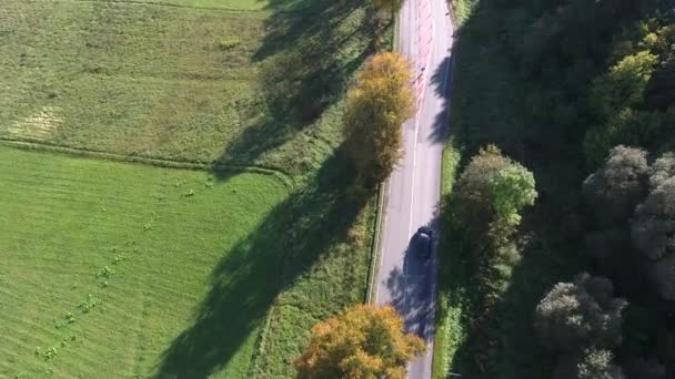 prairies vertes vue aérienne 
