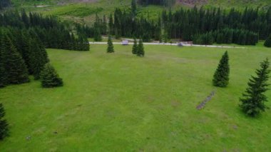 Orman dağlarında üzerinde uçuş