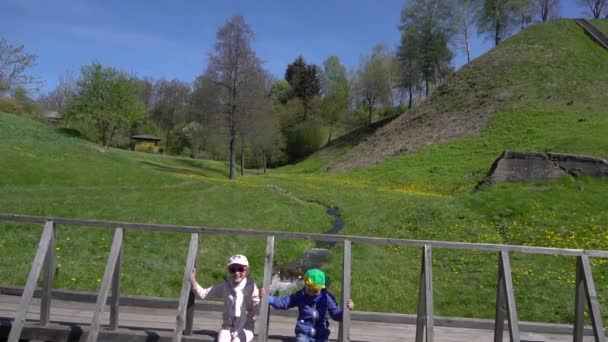 Kinder spielen auf Brücke über Bach — Stockvideo