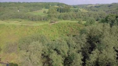 Yeşil orman sonbahar yukarıda uçan