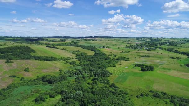 Lot nad zielone łąki i błękitne niebo ziemi — Wideo stockowe