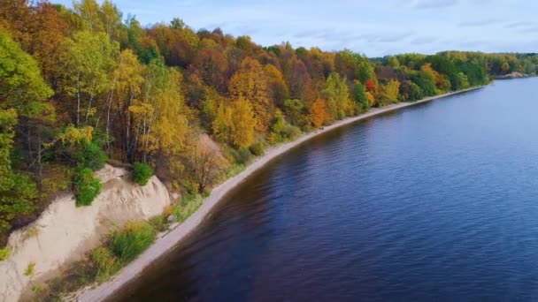 Vuelo sobre el lago y el bosque en otoño — Vídeos de Stock