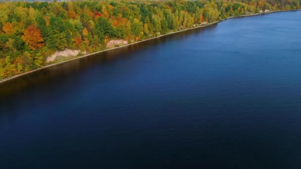 Vuelo sobre el lago y el bosque en otoño — Vídeo de stock