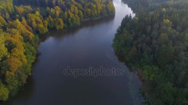 Sabahın erken saatlerinde sisli göl üzerinde uçan