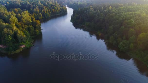 Vliegen boven mistige lake vroeg in de ochtend — Stockvideo