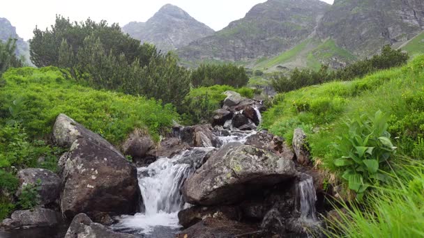 Красивые водопады в горах — стоковое видео
