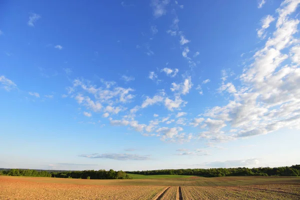 Paisagem de verão com campos — Fotografia de Stock