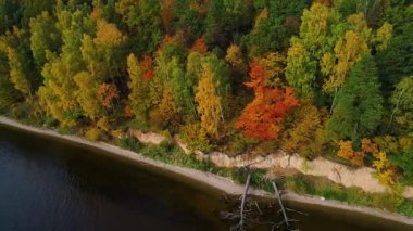 göl ve orman üzerinde sonbahar uçuş