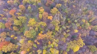 sonbahar park manzaralı uçuş