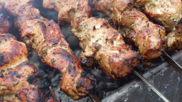 Deliciosa carne de cerdo asada a la parrilla — Vídeos de Stock