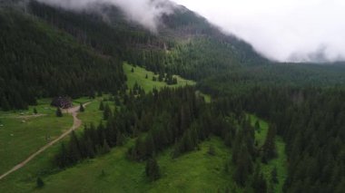 Orman dağlarında üzerinde uçuş