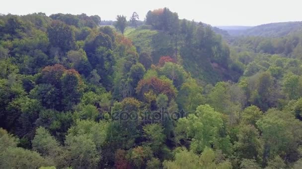 Vliegen boven de groene bossen in de herfst — Stockvideo