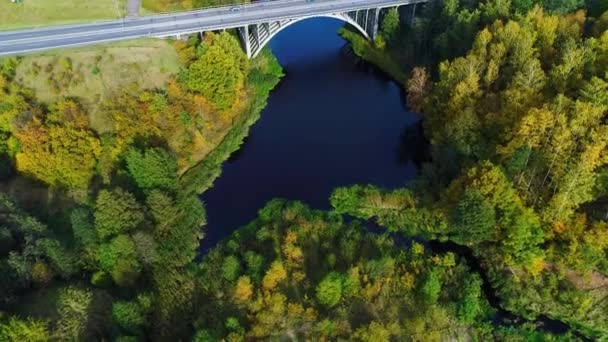 Vista aérea del puente sobre el río — Vídeos de Stock