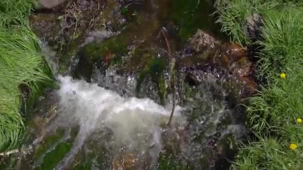 Niños jugar en puente sobre arroyo — Vídeo de stock