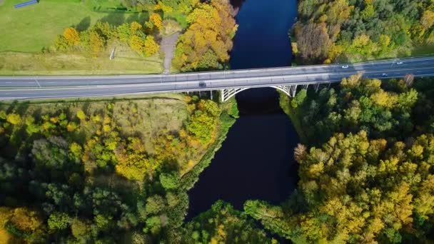 Flygfoto över bron över floden — Stockvideo