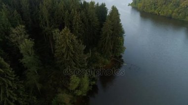 Sabahın erken saatlerinde sisli göl üzerinde uçan