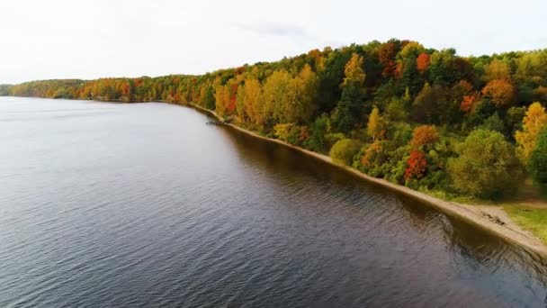 Vuelo sobre el lago y el bosque en otoño — Vídeo de stock