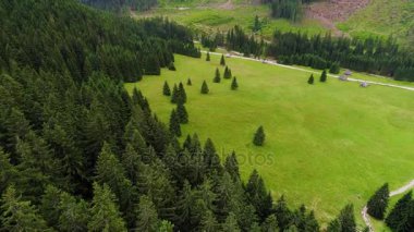Orman dağlarında üzerinde uçuş