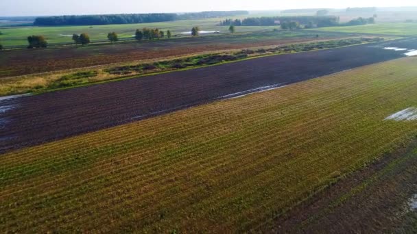 Vista aérea de los coches que van en la carretera — Vídeos de Stock