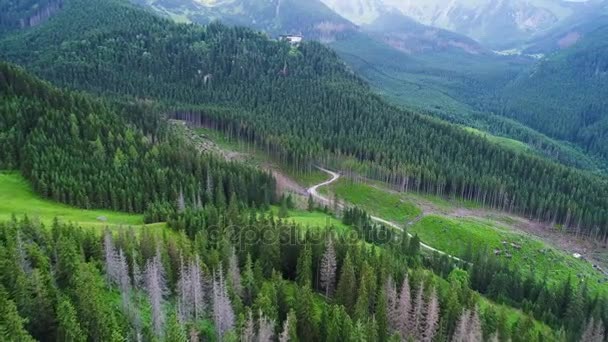 Lento metsän yli vuorilla — kuvapankkivideo