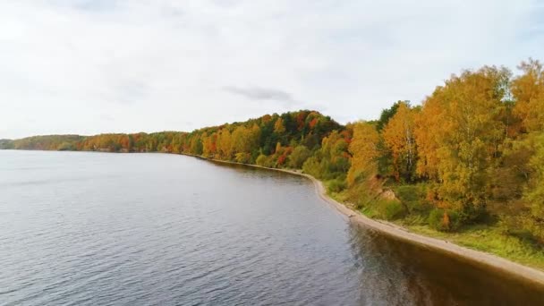 Survol du lac et de la forêt à l'automne — Video