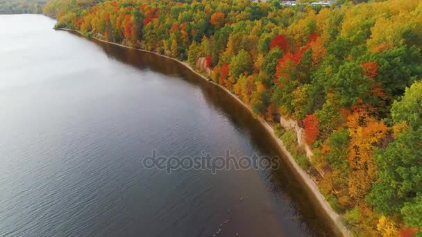 Flight over lake and forest at autumn — Stock Video