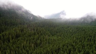 Orman dağlarında üzerinde uçuş