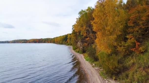 Flight over lake and forest at autumn — Stock Video