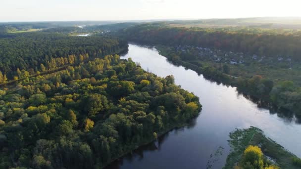 Політ над річкою і лісом — стокове відео