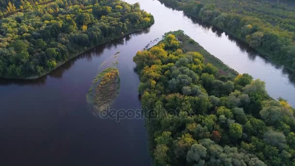 Flight over river and forest — Stock Video