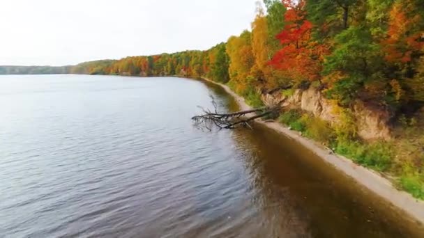 survol du lac et de la forêt à l'automne 