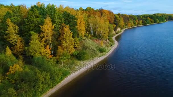 Voo sobre lago e floresta no outono — Vídeo de Stock