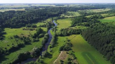 Nehirde çayırlar üzerinde uçuş