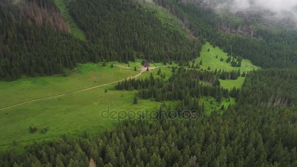 Vuelo sobre el bosque en las montañas — Vídeo de stock