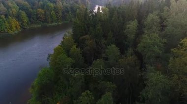 Sabahın erken saatlerinde sisli göl üzerinde uçan