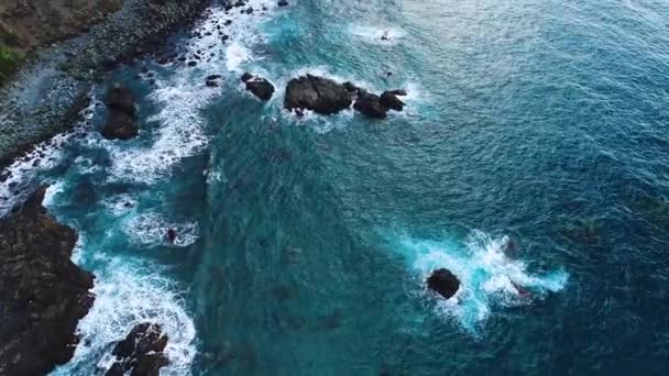Політ над берег моря на Тенеріфе — стокове відео