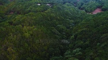 Orman dağlarında üzerinde uçuş