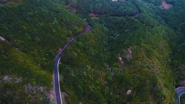 Carretera serpenteando en montañas — Vídeo de stock